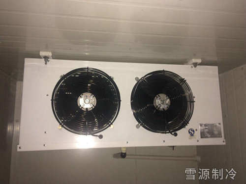 冷庫風(fēng)機2